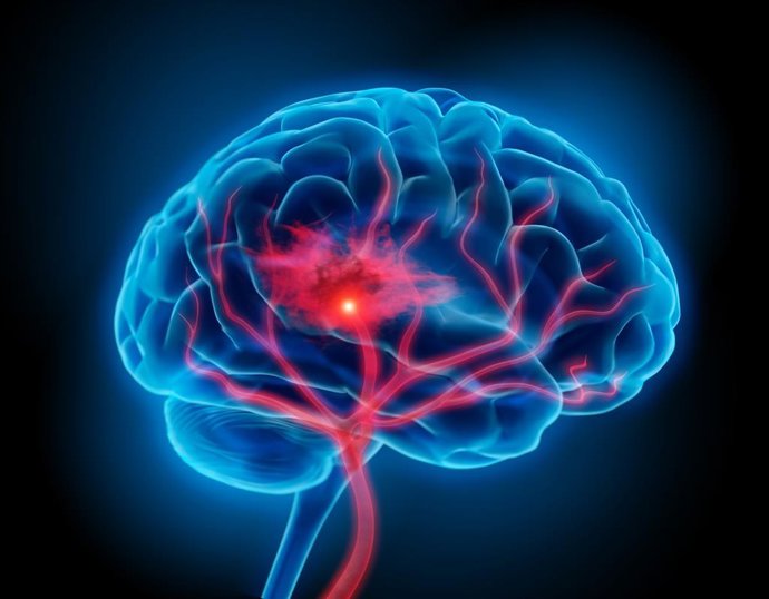 Archivo - Imagen de recurso de la representación de un cerebro. 