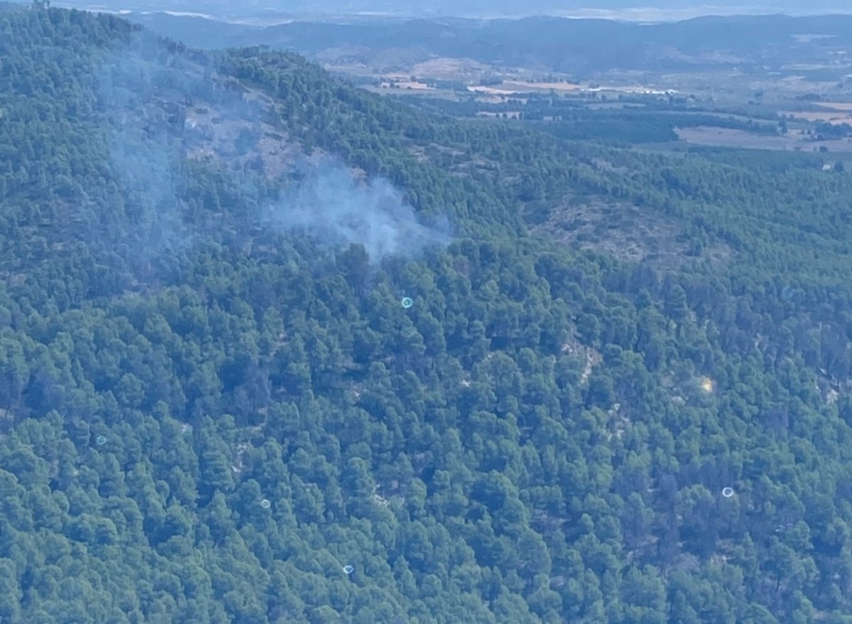 Movilizan brigadas forestales y medios aéreos por un incendio en la Loma Portugales de Cehegín