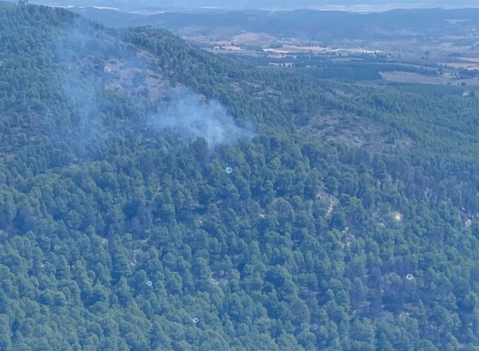Movilizan brigadas forestales y medios aéreos por un incendio en la Loma Portugales de Cehegín