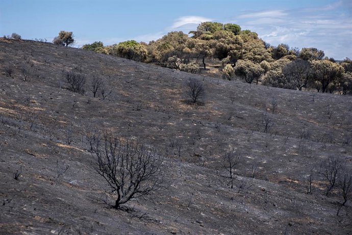 Vista tras el incendio en Villa del Prado