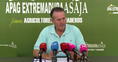 Vídeos