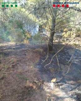 Incendio en Llança (Girona) causado por una mujer que ha sido detenida gracias a una investigación de Agents Rurals y Mossos d'Esquadra