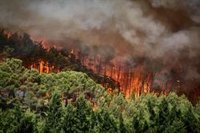 El Gobierno de Navarra recomienda extremar la precaución y evitar cualquier actividad que pueda causar incendios