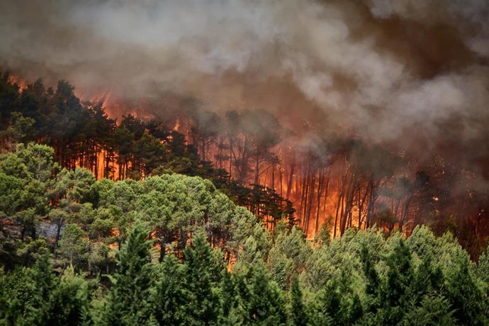 Archivo - Imagen de archivo del incendio forestal de Imárcoain del pasado 5 de julio.