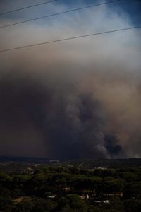 Experto de la UHU señala que el clima y el eucaliptal propician fuegos de sexta generación como el de Niebla (Huelva)