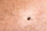 Foto: Castilla y León confirma un caso de fiebre hemorrágica de Crimea-Congo en Salamanca