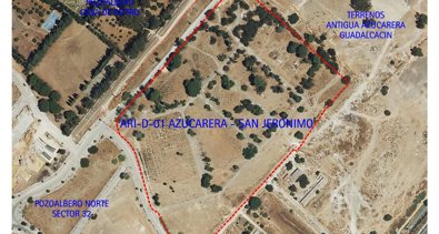 Jerez al día