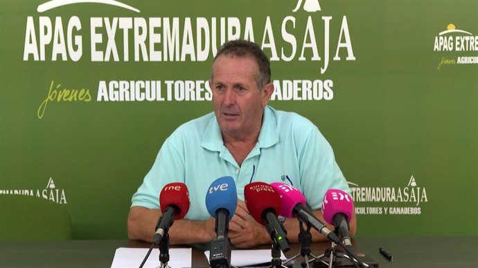 El presidente de la asociación Juan Metidieri, ha informado este jueves en rueda de prensa sobre la situación del sector del aceite de oliva en Extremadura.