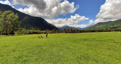 Aragón
