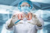 Foto: Un nuevo fármaco contra el cáncer de riñón metastásico bloquea una proteína clave del tumor