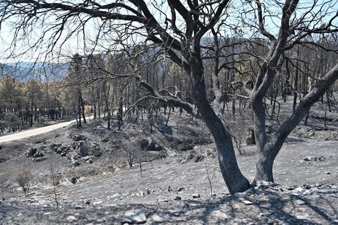 Incendio de Guadalajara.