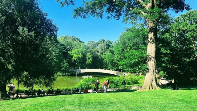 Central Park