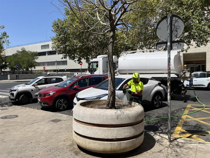 Regado de árbol en el distrito Nervión.