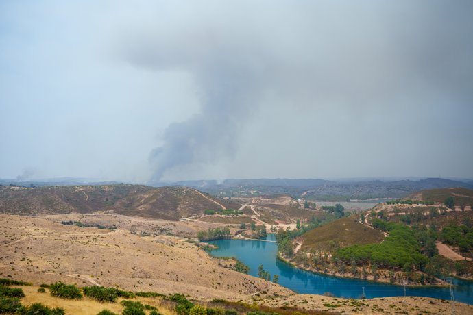 Imágenes del avance del incendio de Niebla en el término municipal de Aznalcollar. A 14 de agosto de 2026 en Aznalcollar, Sevilla (Andalucía, España).El incendio de Niebla (Huelva), activo desde el 6 de agosto y con más de 31.