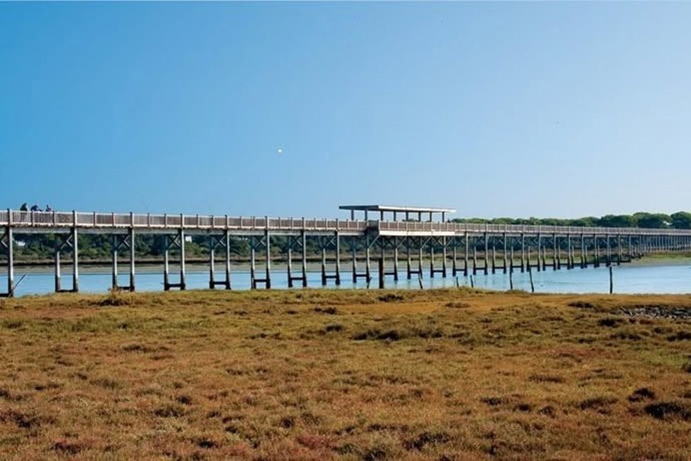 Puente de madera sobre el río San Pedro que conecta La Algaida y la península de Los Toruños