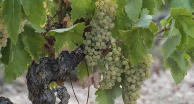 La Rioja