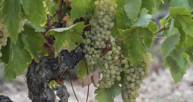 La Rioja