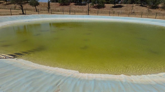 Balsa de agua en Huévar