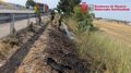 Extinguidos tres incendios en Peralta, Pamplona y Tiebas-Muruarte de Reta, sin heridos