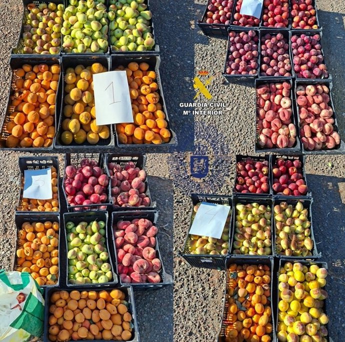 Fruta intervenida