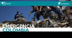 notibrasil sociedade