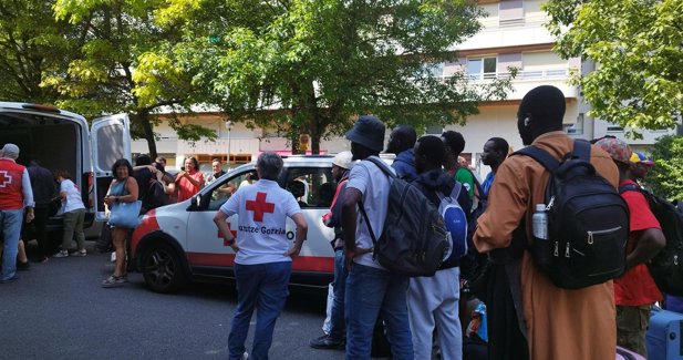 Migración