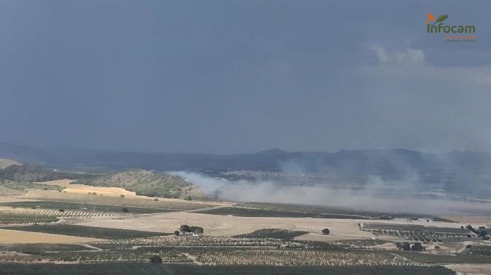 Incendio forestal declarado en Tobarra.