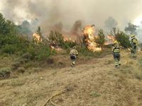 Más de 600 efectivos luchan contra el incendio de Riglos (Huesca), que afecta a más de 12.000 hectáreas