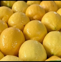 La organización agraria reclama medidas fiscales urgentes, como la exención del IRPF para agricultores y ganaderos y una reducción del IVA de los productos y servicios vinculados al sector agroalimentario