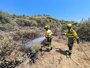 Los bomberos forestales de Aragón dicen que combaten el fuego 