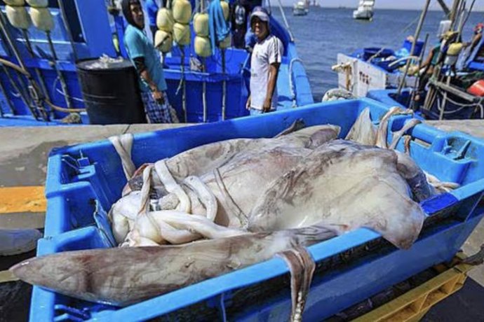 Archivo - 