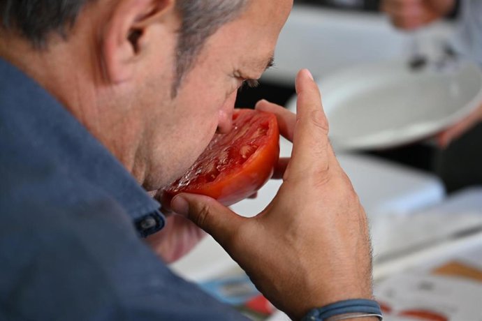 La tradicional cata-subasta del tomate Huevo de Toro en Coín
