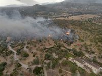 Estabilizado el incendio forestal originado entre Alaró y Consell