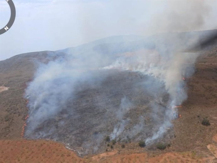 Imagen del incendio forestal de Turón (Granada).