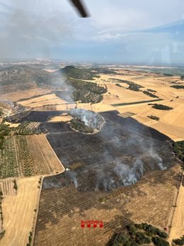 Imatge de l'incendi