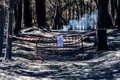 Controlado el incendio de Burgohondo (Ávila) que baja a nivel 0