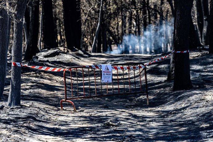 Instalaciones del camping Fuente Helecha afectadas por el fuego de Burgohondo.