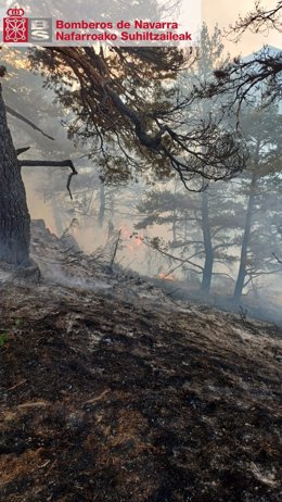 Imagen del incendio forestal en Urzainqui.