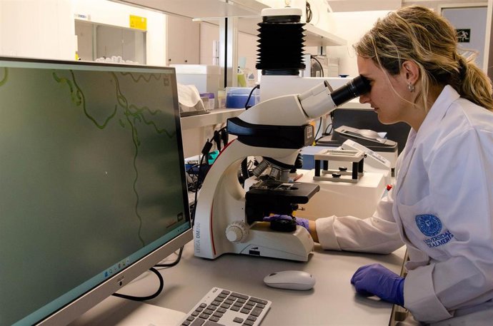 Archivo - Obtienen biomasa 'a la carta' procedente de microalgas que depuran aguas residuales.