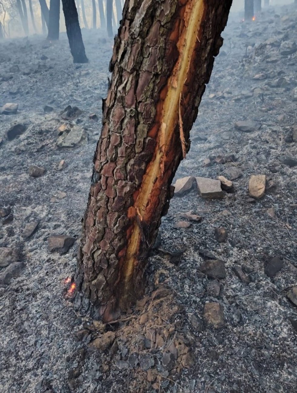 Imagen de un rayo que ha originado un incendio en Siruela (Badajoz), a 15 de agosto de 2026.