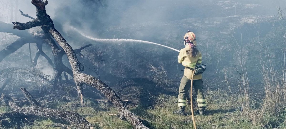 El Plan Infoex interviene en 30 incendios forestales durante la última semana, 16 en Badajoz y 14 en Cáceres