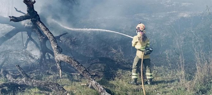 Bomberos del Plan Infoex intervienen en un incendio.