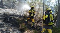 Extinguido el incendio forestal entre Alaró y Consell tras quemar más de dos hectáreas