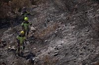 El Ayuntamiento de Zalamea la Real (Huelva) agradece la "solidaridad" vecinal ante el incendio de Niebla