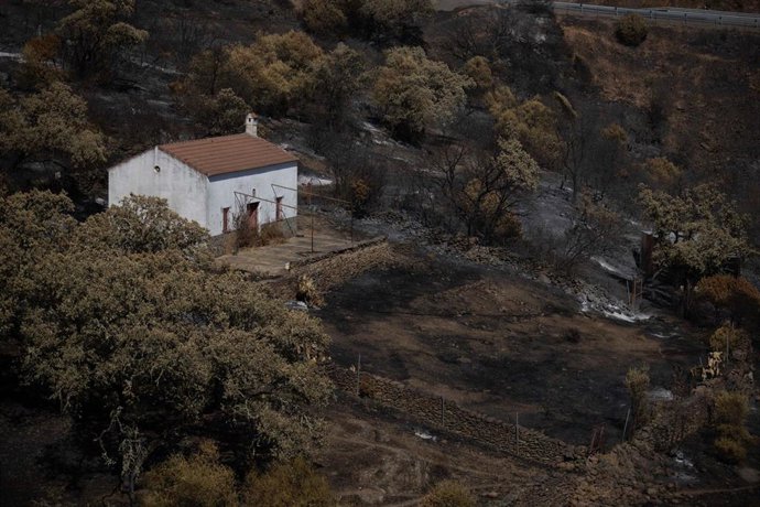 El incendio de Niebla deja un paisaje desolador en Berrocal (Huelva).