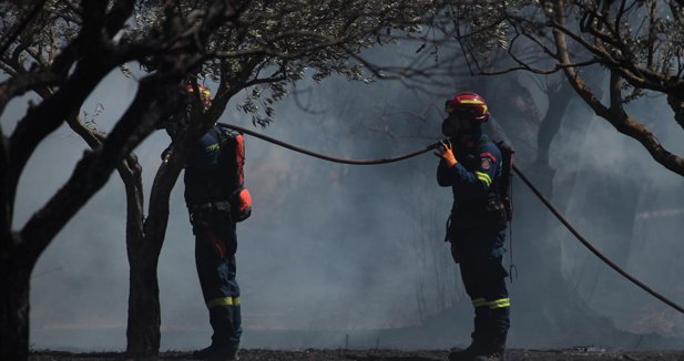 El gran incendio declarado en la isla griega de Salamina deja ya dos muertos y nueve heridos por quemaduras