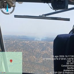 Incendio declarado en Villanueva del Río y Minas (Sevilla).