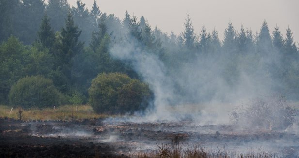 Alemania ordena evacuar parcialmente Monschau, fronteriza con Bélgica, por el gran incendio de Hautes Fagnes