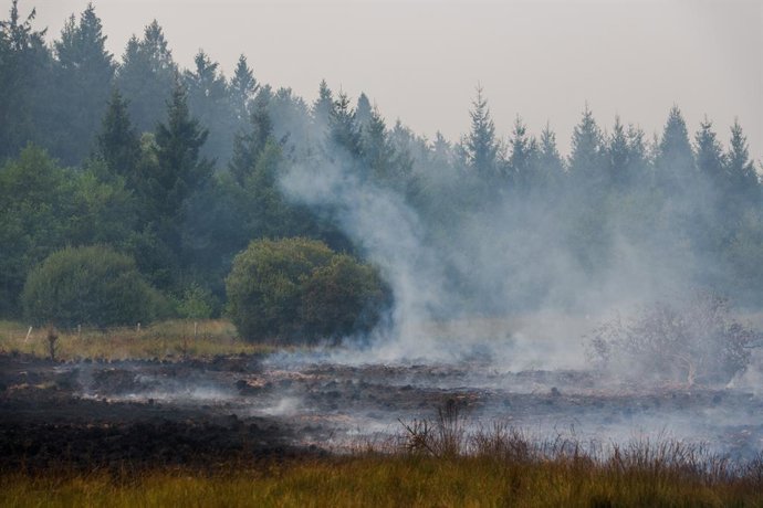 A burned out landscape pictured as a fire rages in the Hautes Fagnes (High Fens) nature reserve, on Sunday 16 August 2026 in Waimes. The fire started on August 14th and 2700 hectares (on a total of 4500) are impacted.