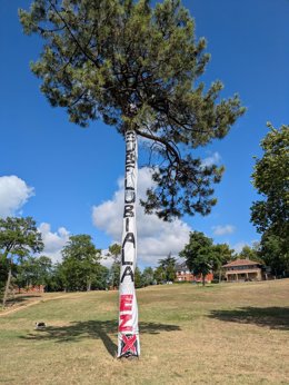 Archivo - Denuncia de la plataforma contra el Subfluvial en un árbol en el parque Artaza.